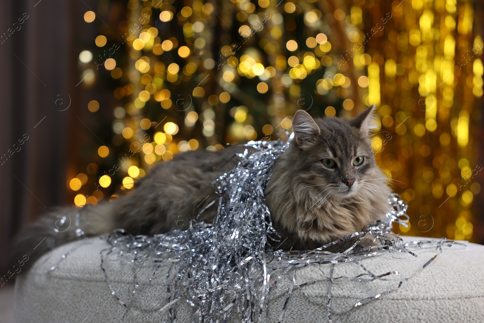 Photo of Cute cat with shiny tinsel on pouf against blurred lights. Christmas atmosphere