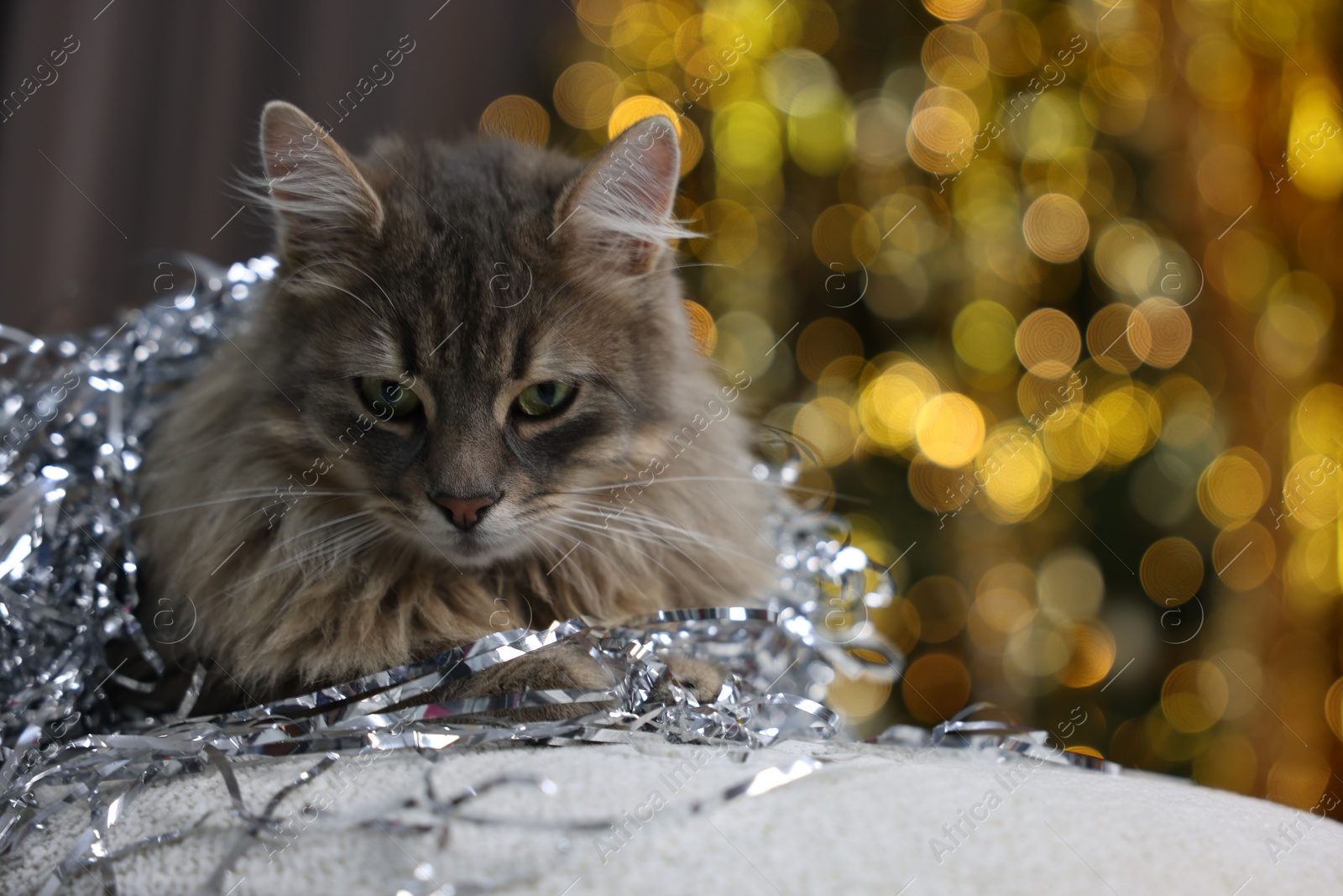 Photo of Cute cat with shiny tinsel on pouf against blurred lights, space for text. Christmas atmosphere