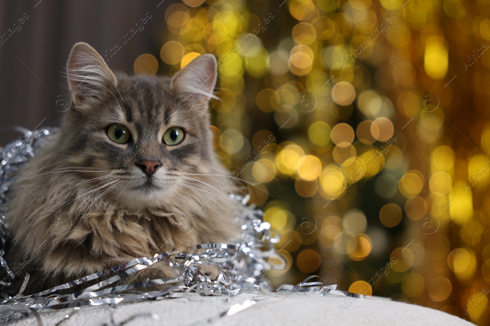 Photo of Cute cat with shiny tinsel on pouf against blurred lights, space for text. Christmas atmosphere