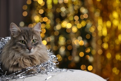 Photo of Cute cat with shiny tinsel on pouf against blurred lights, space for text. Christmas atmosphere