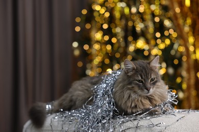 Photo of Cute cat with shiny tinsel on pouf against blurred lights. Christmas atmosphere