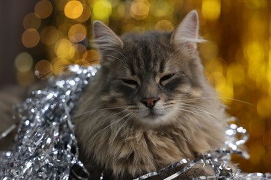 Photo of Cute cat with shiny tinsel against blurred lights, closeup. Christmas atmosphere