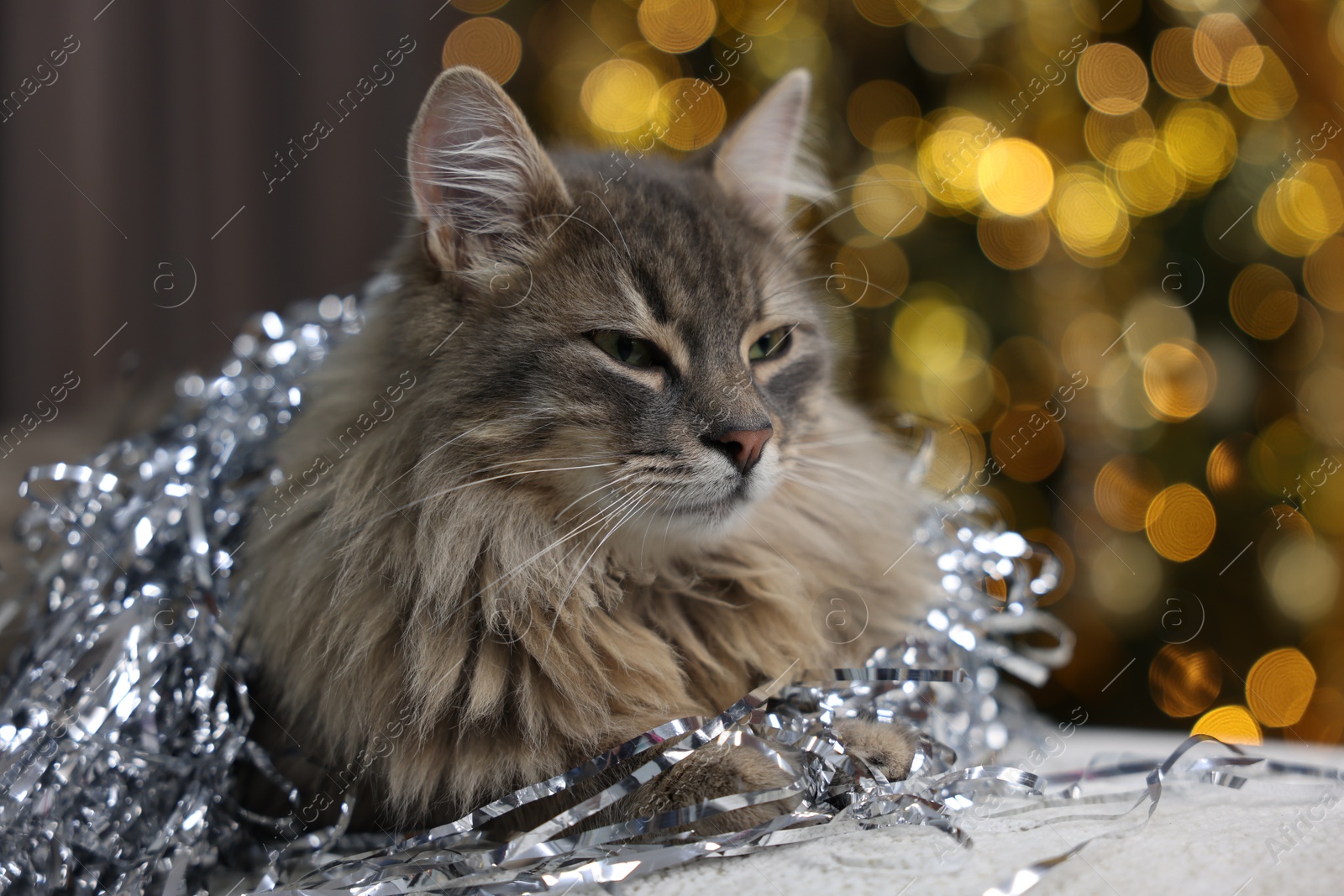 Photo of Cute cat with shiny tinsel on pouf against blurred lights. Christmas atmosphere