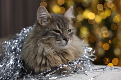 Photo of Cute cat with shiny tinsel on pouf against blurred lights. Christmas atmosphere