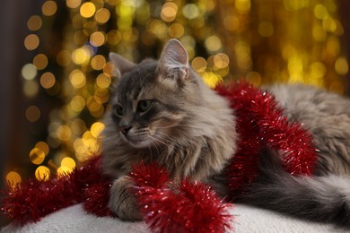 Photo of Cute cat with red tinsel on pouf against blurred lights. Christmas atmosphere