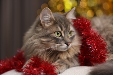 Photo of Cute cat with red tinsel on pouf against blurred lights, closeup. Christmas atmosphere