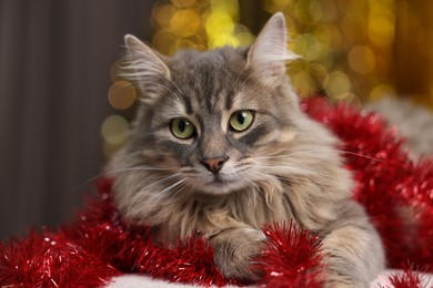 Photo of Cute cat with red tinsel on pouf against blurred lights, closeup. Christmas atmosphere