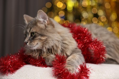 Photo of Cute cat with red tinsel on pouf against blurred lights, closeup. Christmas atmosphere