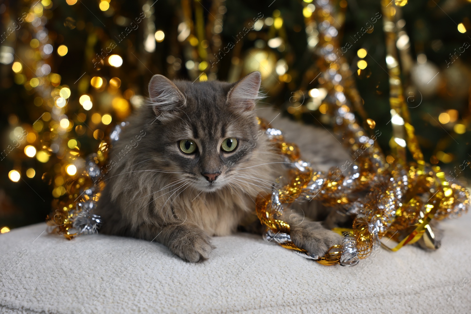 Photo of Cute cat with shiny tinsel on pouf against blurred lights. Christmas atmosphere