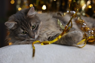 Photo of Cute cat with bright Christmas tinsel on pouf, closeup