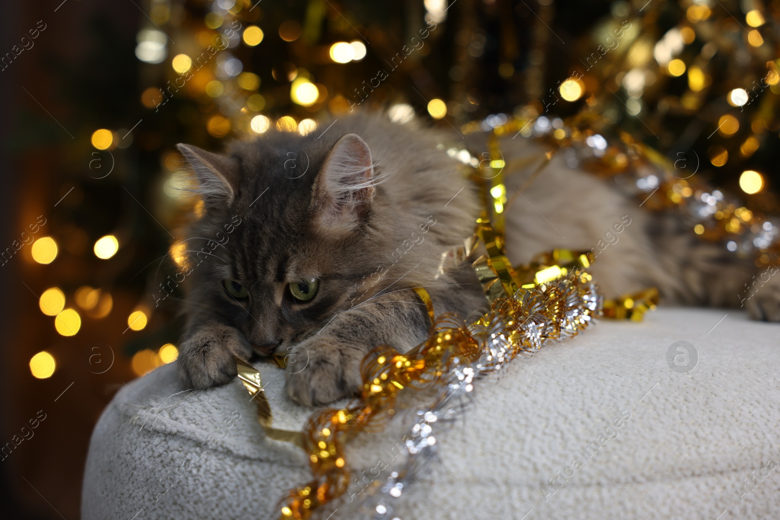 Photo of Cute cat with shiny tinsel on pouf against blurred lights, closeup. Christmas atmosphere