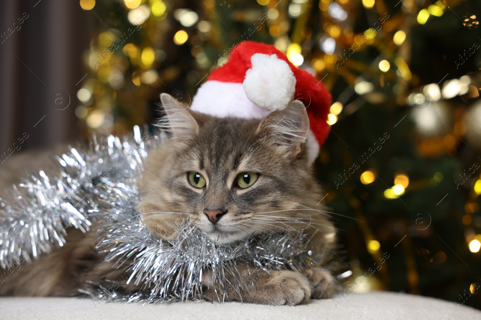 Photo of Cute cat in Santa hat with shiny tinsel on pouf against blurred lights, closeup. Christmas atmosphere