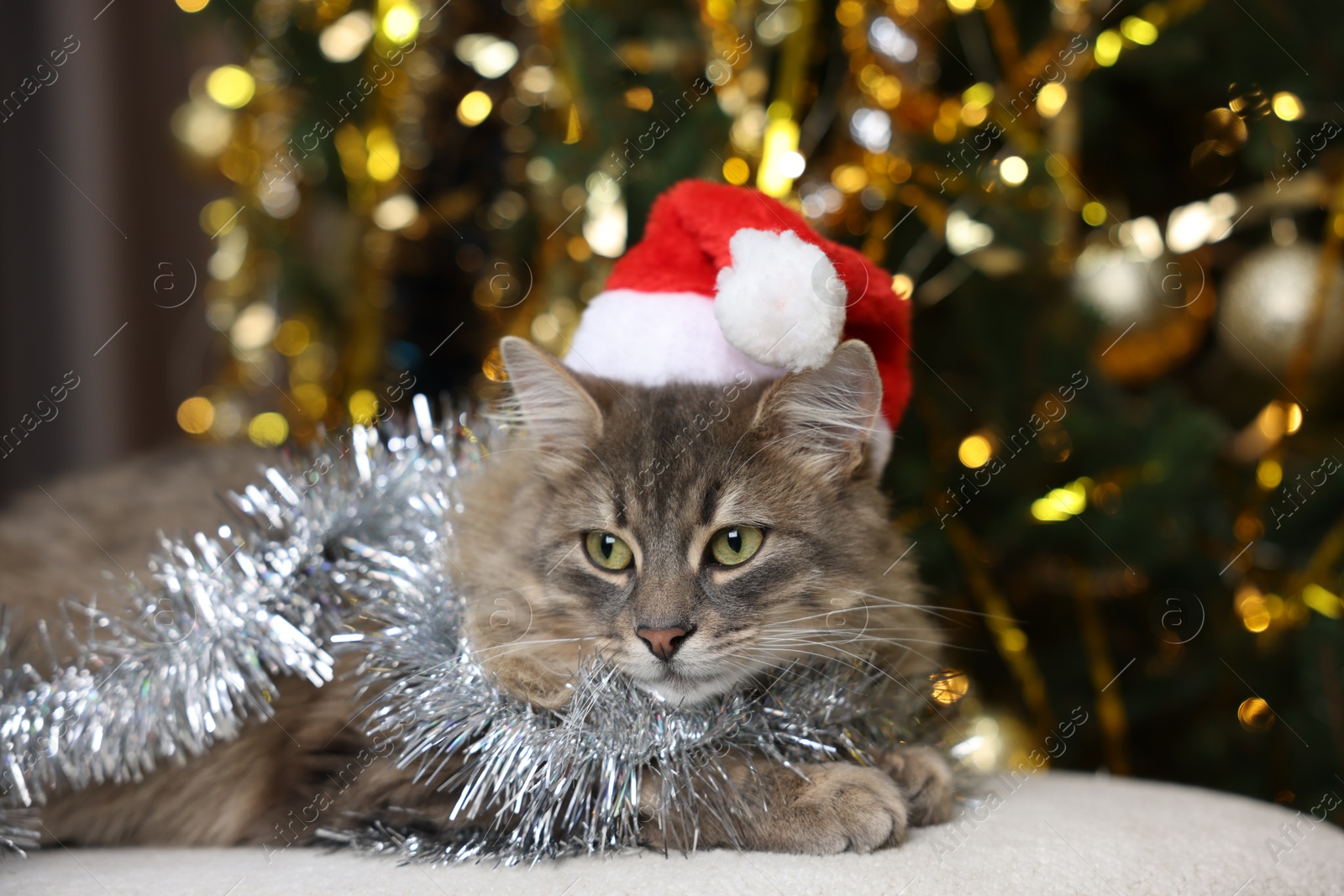 Photo of Cute cat in Santa hat with shiny tinsel on pouf against blurred lights. Christmas atmosphere