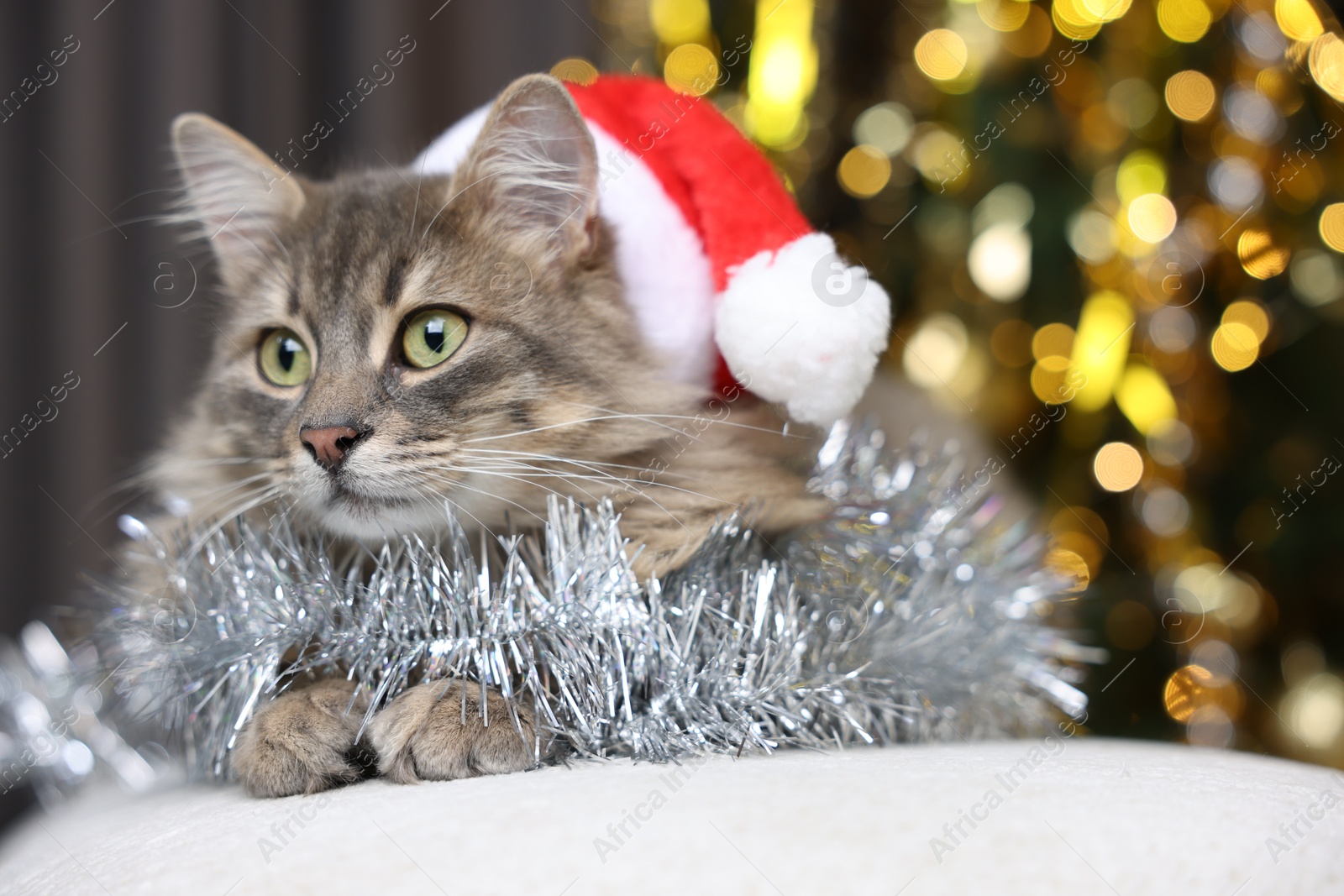 Photo of Cute cat in Santa hat with shiny tinsel on pouf against blurred lights, closeup. Christmas atmosphere