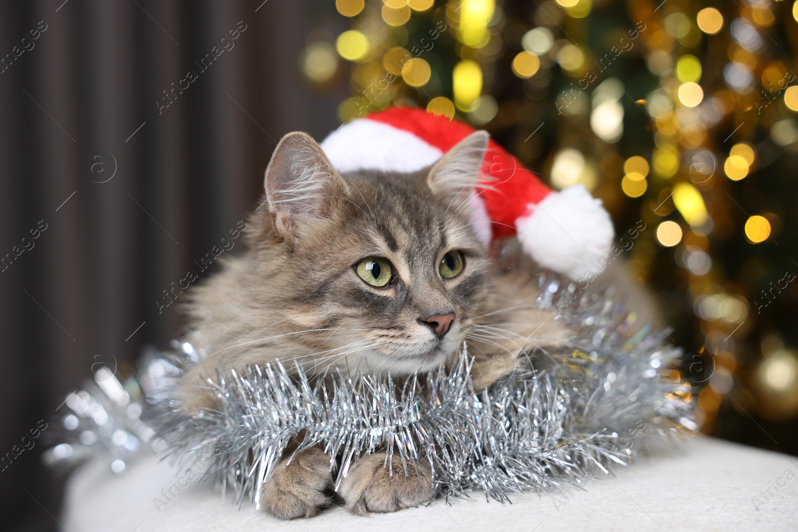 Photo of Cute cat in Santa hat with shiny tinsel on pouf against blurred lights. Christmas atmosphere