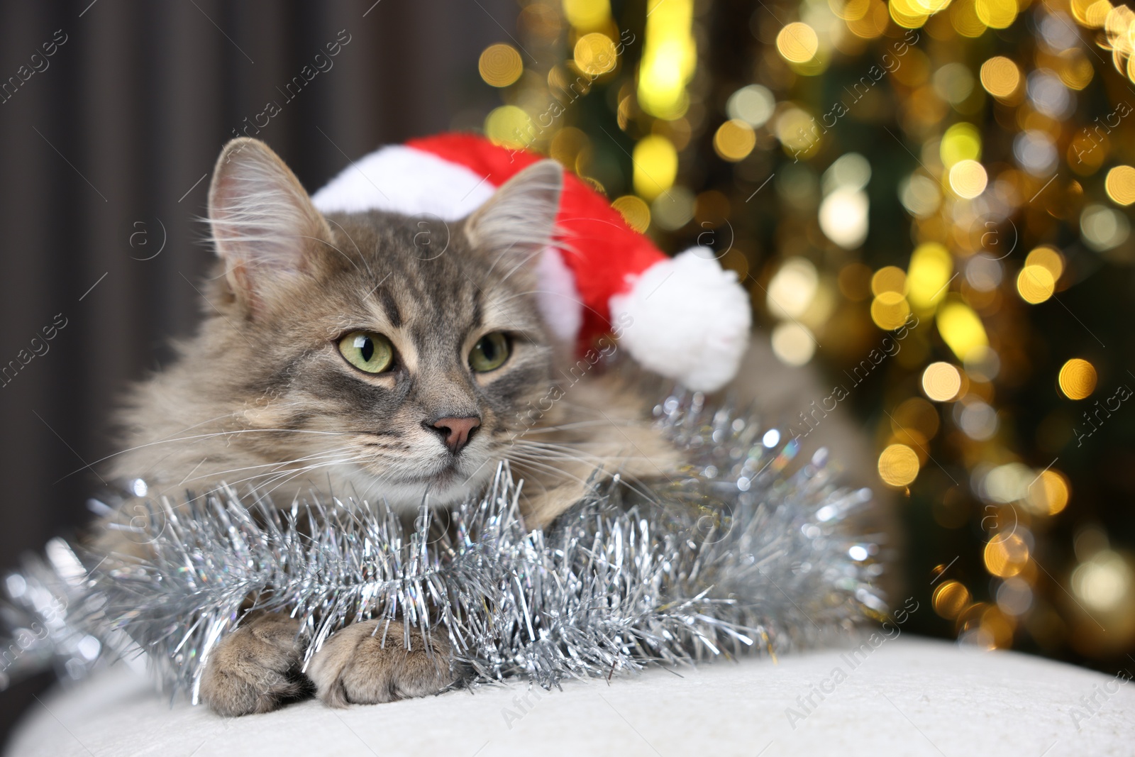 Photo of Cute cat in Santa hat with shiny tinsel on pouf against blurred lights. Christmas atmosphere