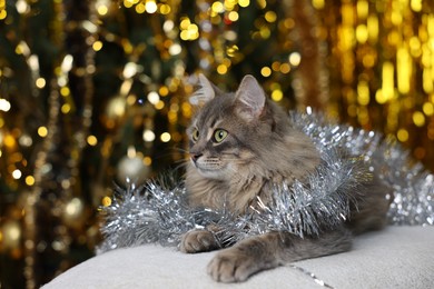 Photo of Cute cat with shiny tinsel on pouf against blurred lights. Christmas atmosphere