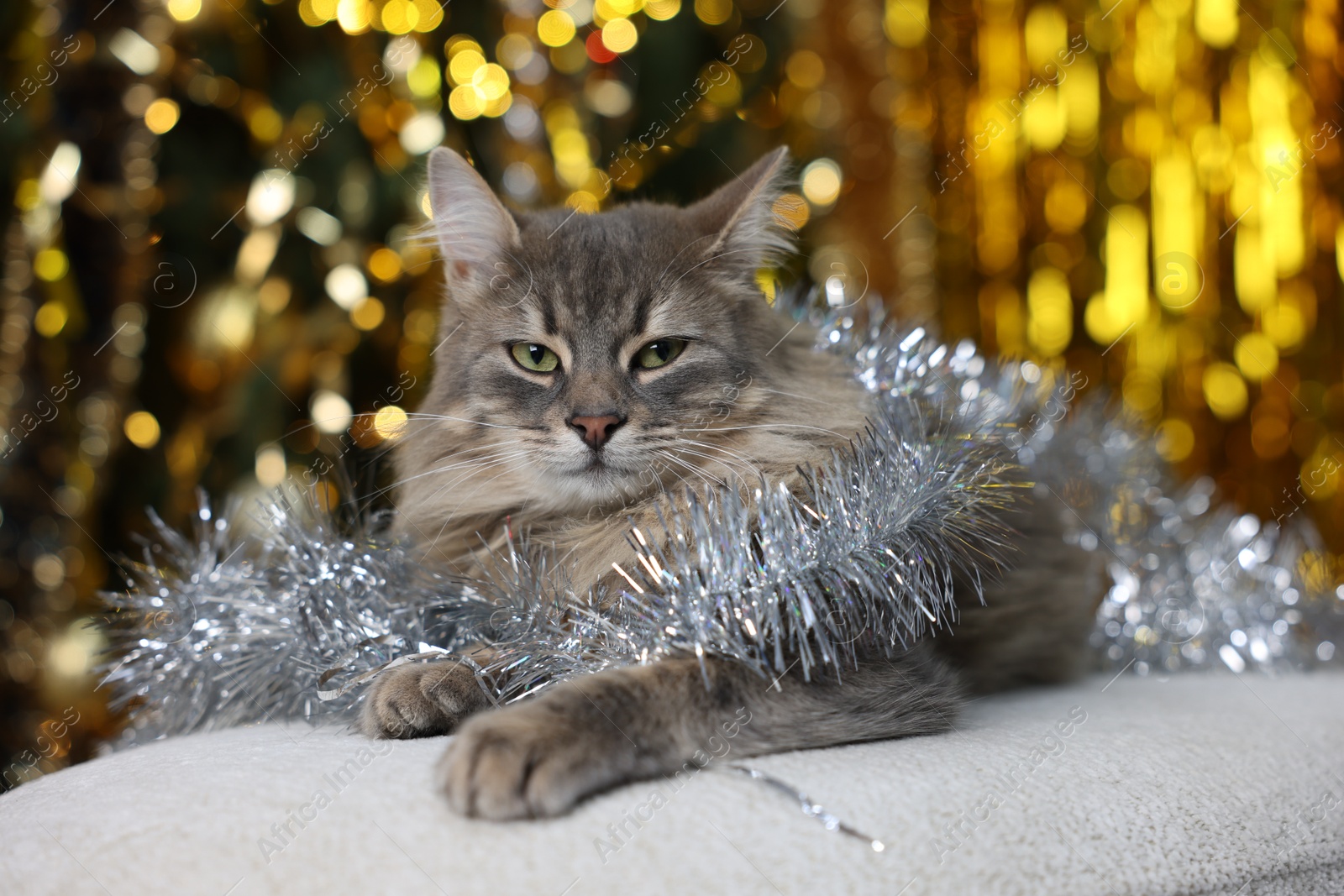 Photo of Cute cat with shiny tinsel on pouf against blurred lights. Christmas atmosphere