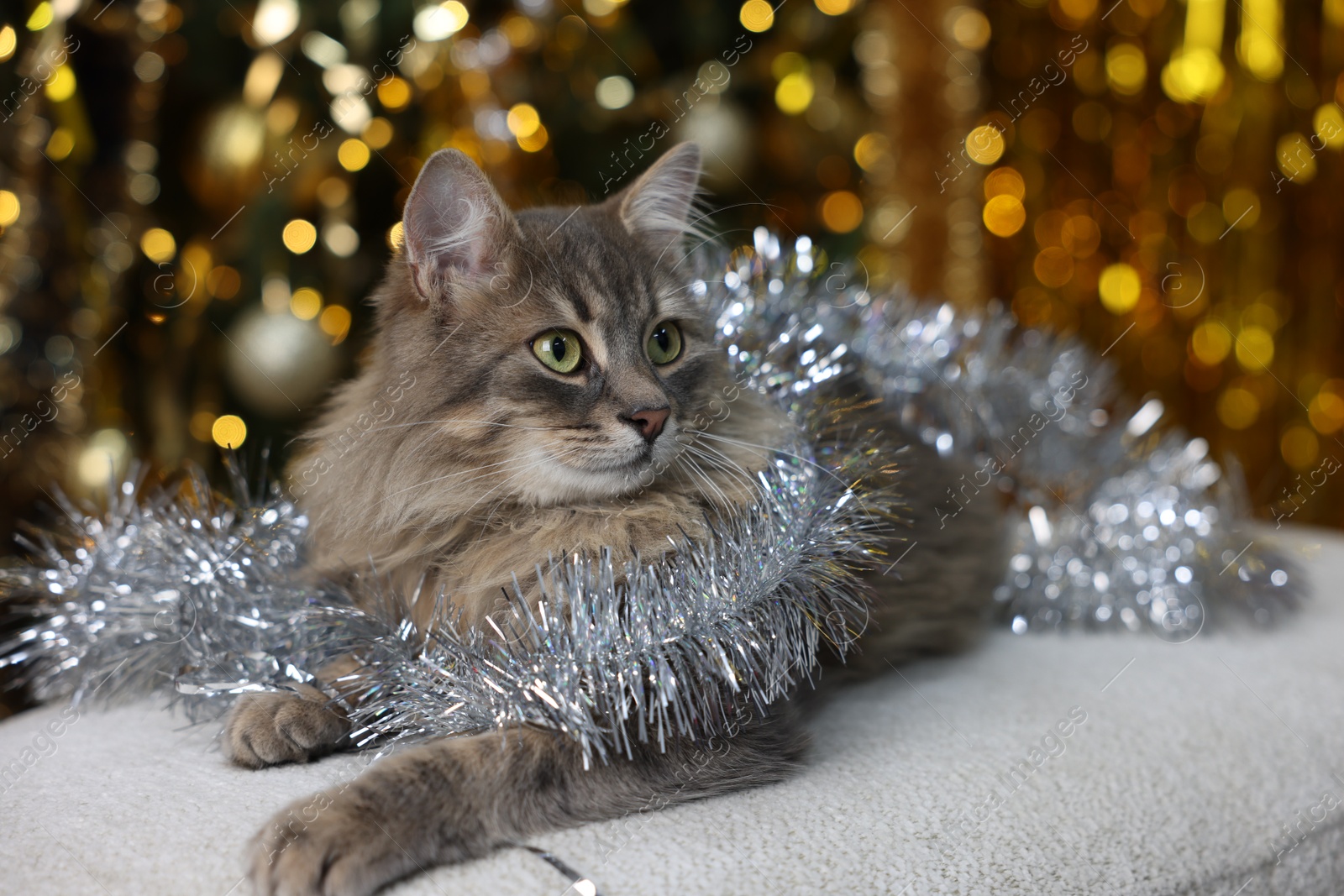 Photo of Cute cat with shiny tinsel on pouf against blurred lights. Christmas atmosphere