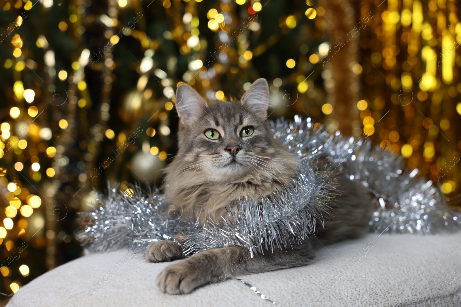 Photo of Cute cat with shiny tinsel on pouf against blurred lights. Christmas atmosphere