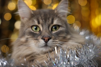 Photo of Cute cat with shiny tinsel against blurred lights, closeup. Christmas atmosphere