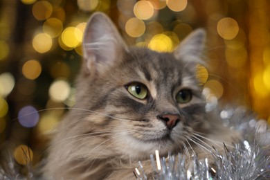 Photo of Cute cat with shiny tinsel against blurred lights, closeup. Christmas atmosphere