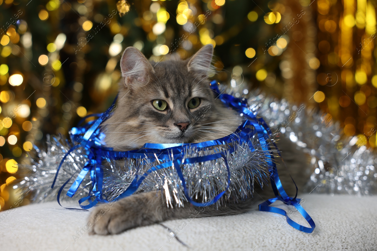 Photo of Cute cat with shiny tinsels on pouf against blurred lights. Christmas atmosphere