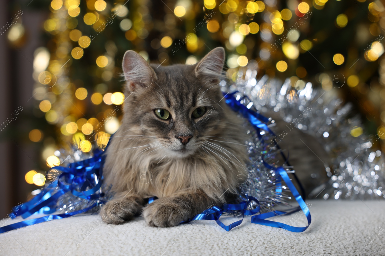 Photo of Cute cat with shiny tinsels on pouf against blurred lights. Christmas atmosphere