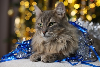 Photo of Cute cat with shiny tinsels on pouf against blurred lights. Christmas atmosphere