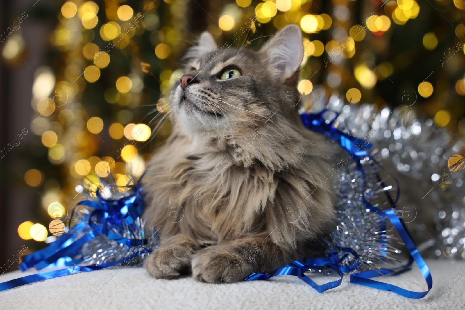 Photo of Cute cat with shiny tinsels on pouf against blurred lights. Christmas atmosphere