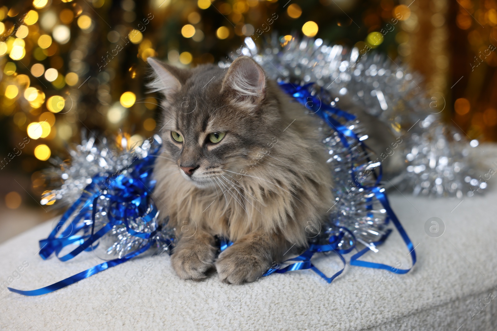 Photo of Cute cat with shiny tinsels on pouf against blurred lights. Christmas atmosphere