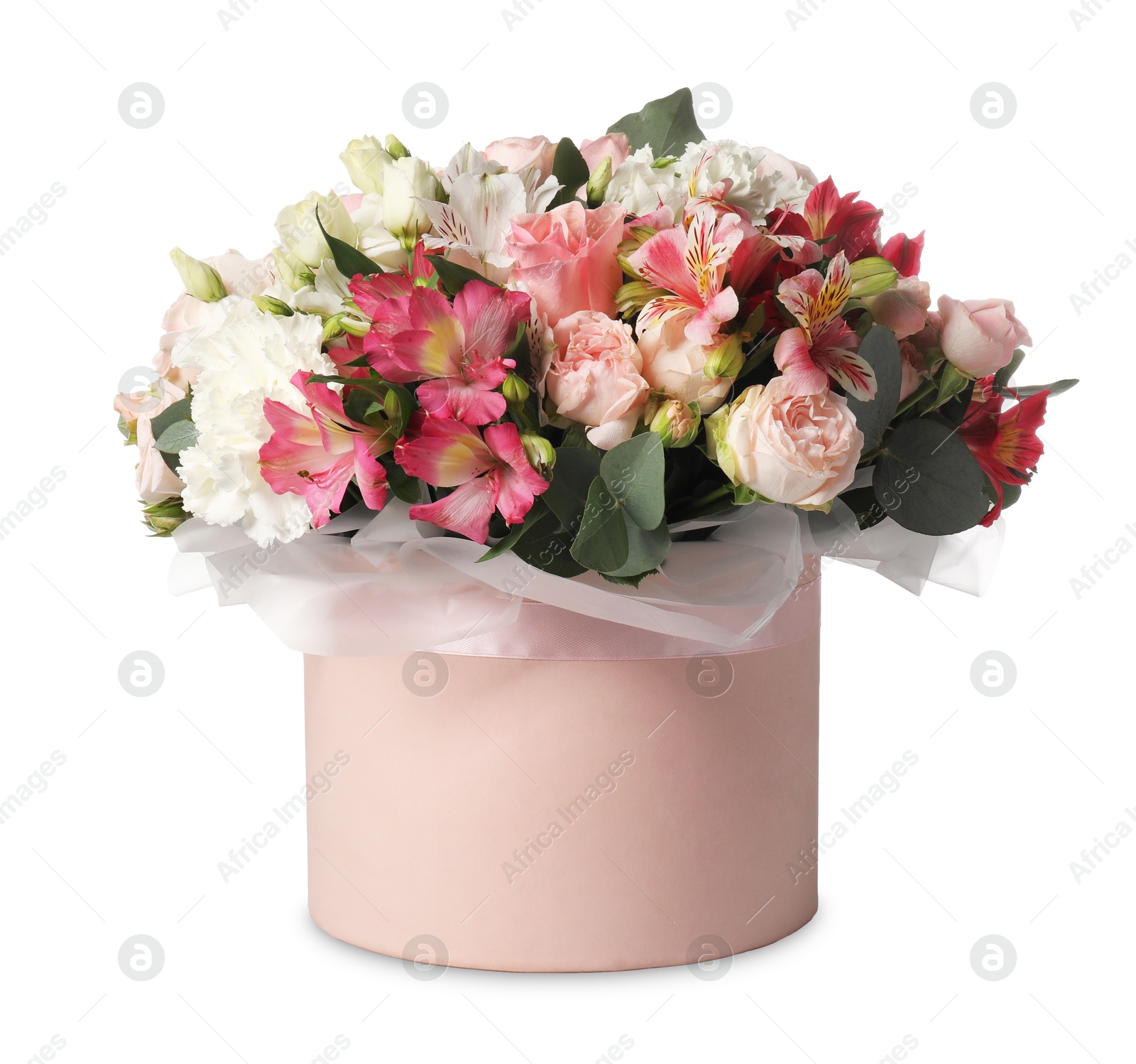 Photo of Bouquet of beautiful flowers in box isolated on white