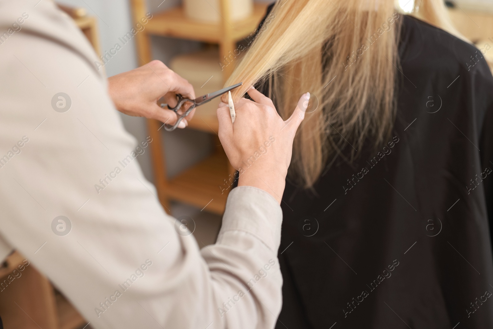 Photo of Hairdresser cutting client's hair with scissors in salon, closeup