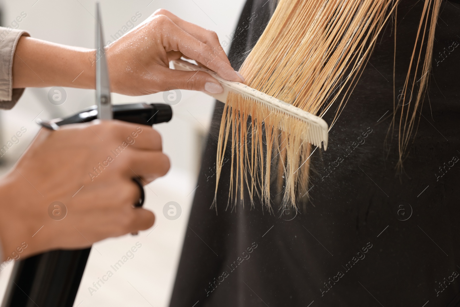 Photo of Hairdresser using spray while making stylish haircut in salon, closeup