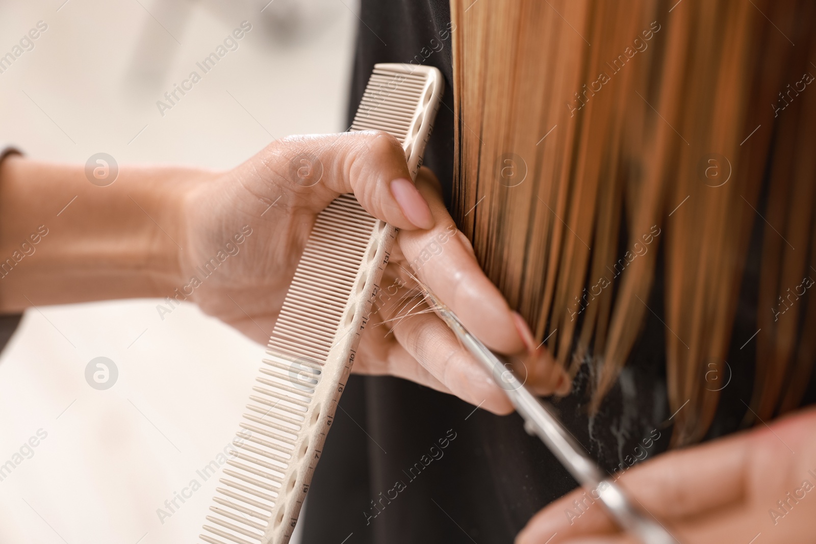 Photo of Hairdresser cutting client's hair with scissors in salon, closeup