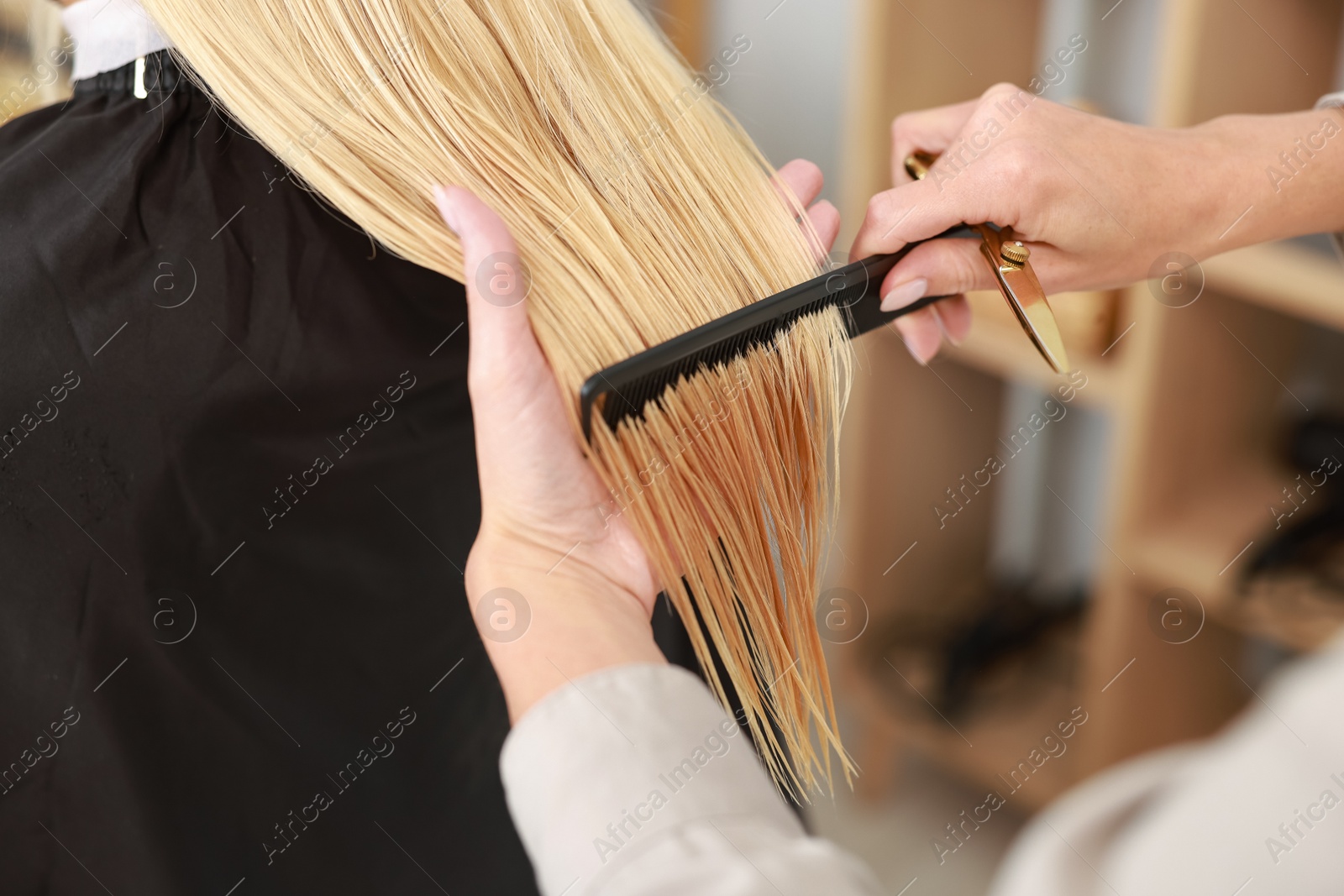 Photo of Hair cutting. Professional hairdresser working with client in salon, closeup