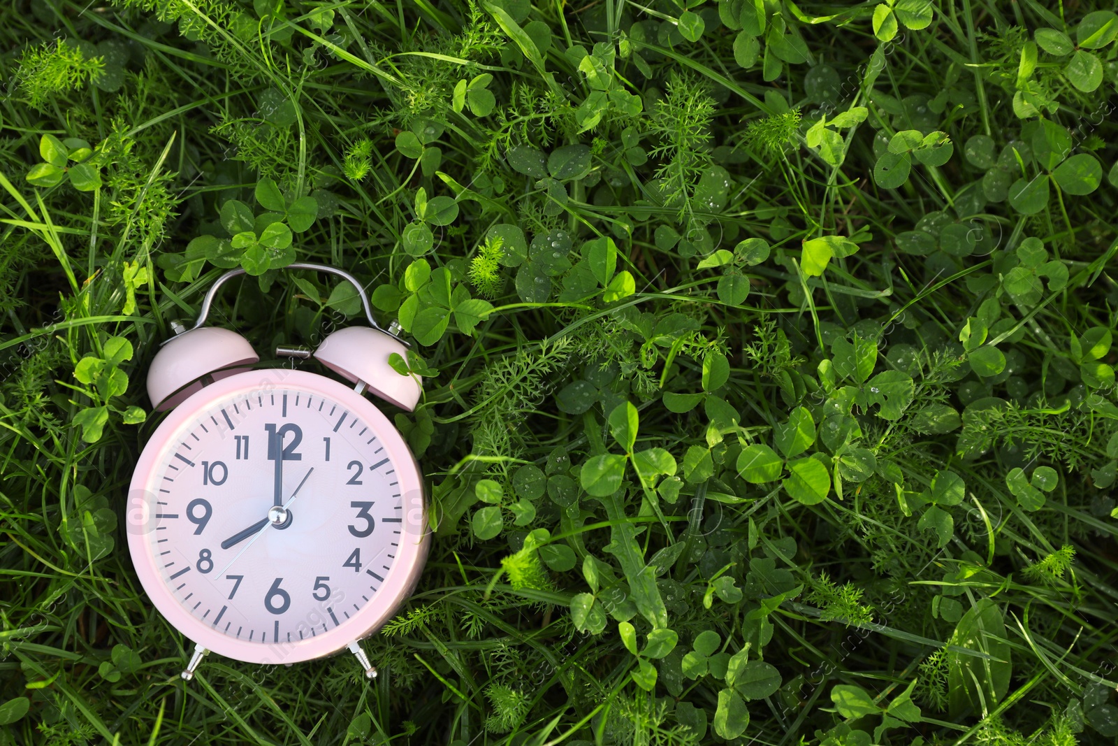 Photo of Pink small alarm clock on green grass outdoors, top view. Space for text