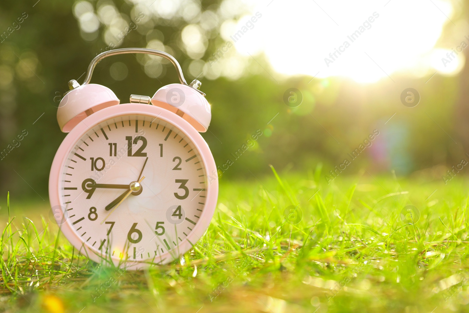 Photo of Pink alarm clock on green grass outdoors. Space for text