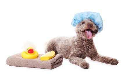 Photo of Cute dog with shower cap and other bath accessories on white background