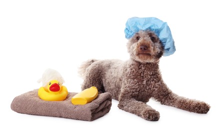 Photo of Cute dog with shower cap and other bath accessories on white background