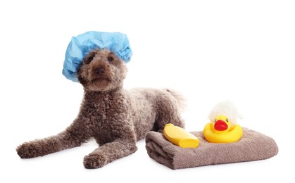 Photo of Cute dog with shower cap and other bath accessories on white background