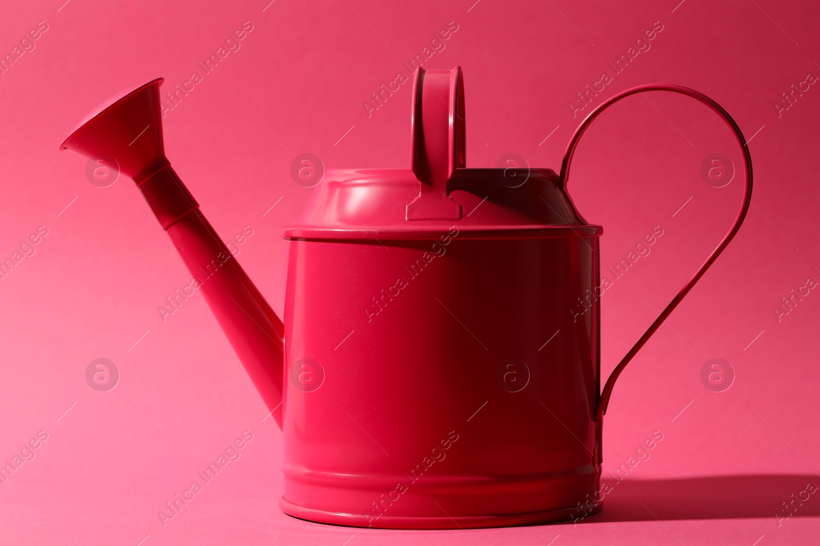 Photo of Metal watering can on bright pink background