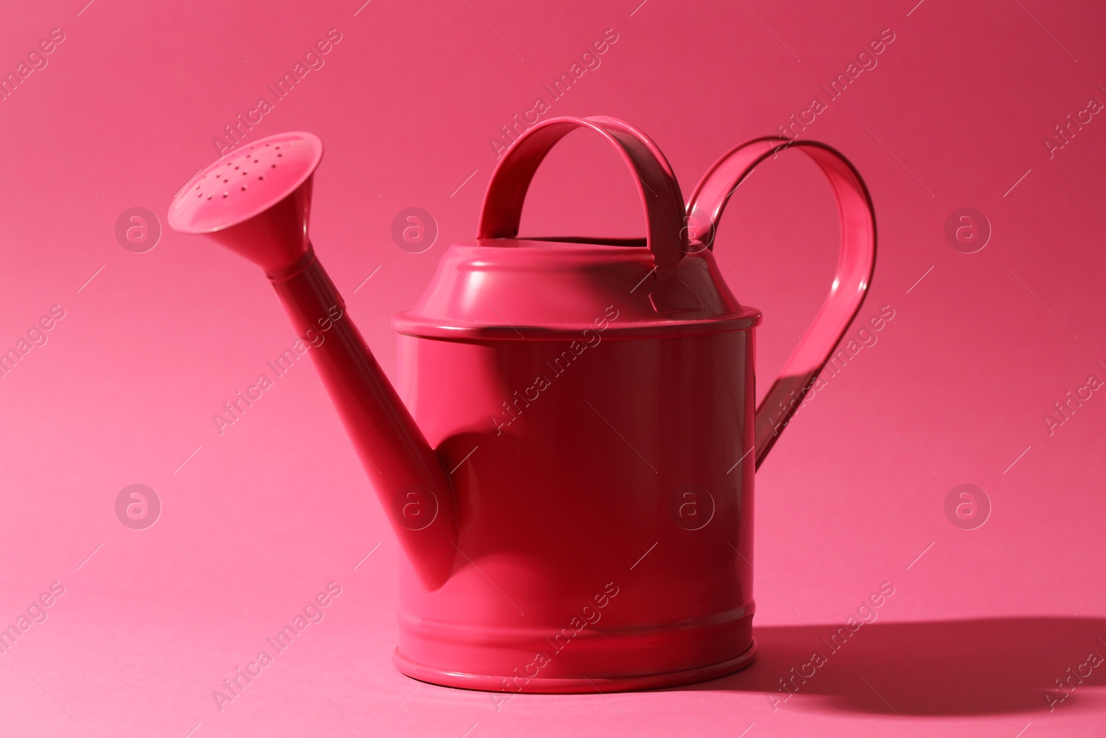 Photo of Metal watering can on bright pink background