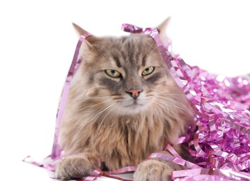 Photo of Cute cat with pink Christmas tinsel isolated on white