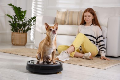 Teenage girl and her cute Chihuahua dog on robotic vacuum cleaner at home, selective focus