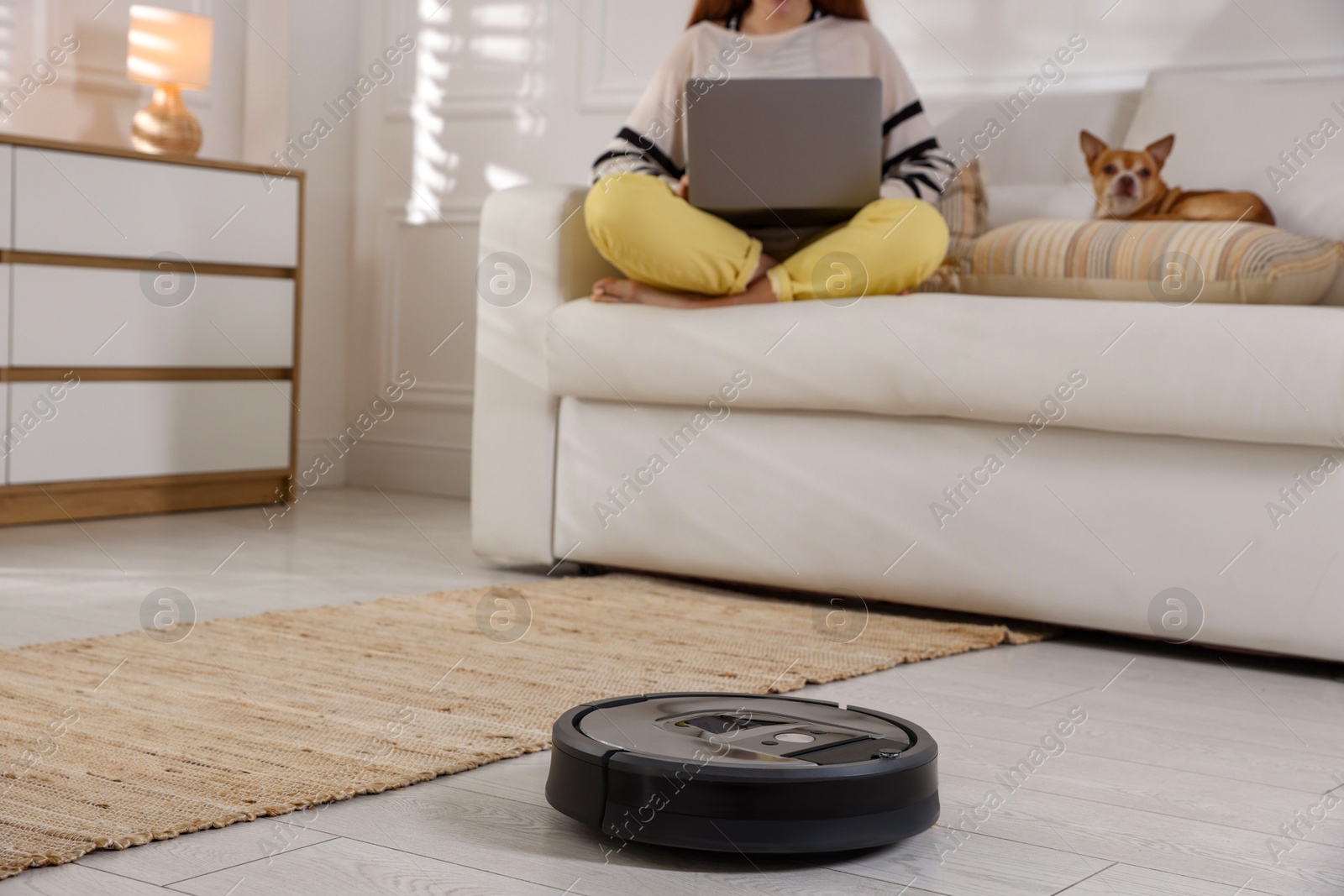 Photo of Teenage girl with laptop and her cute Chihuahua dog at home, focus on robotic vacuum cleaner