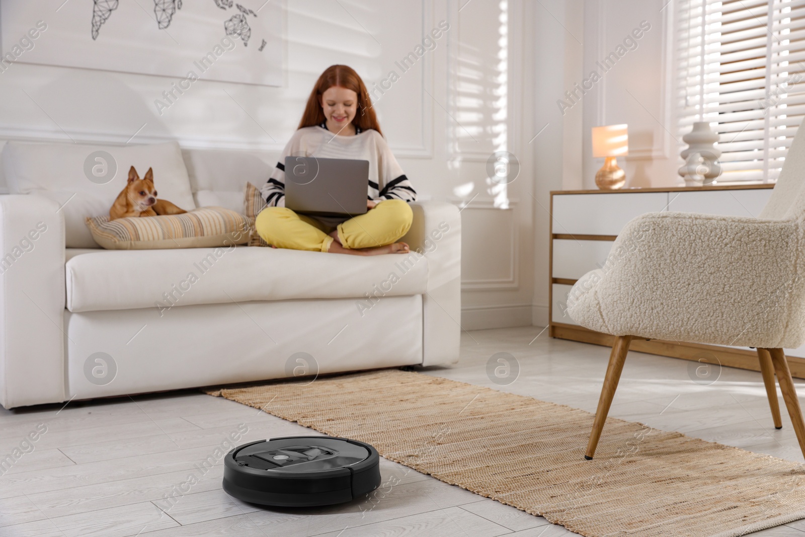 Photo of Teenage girl with laptop and her cute Chihuahua dog at home, focus on robotic vacuum cleaner