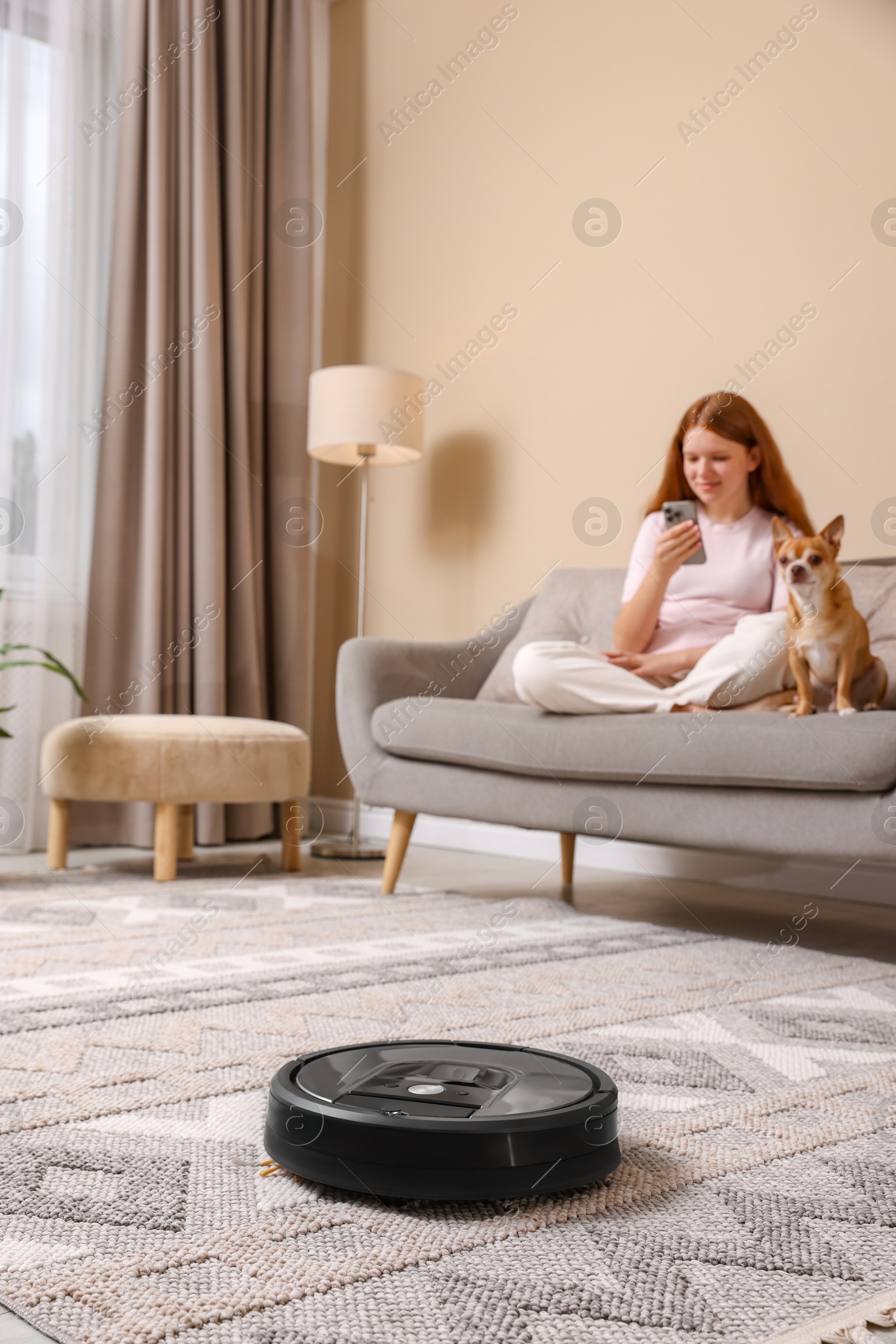 Photo of Teenage girl with smartphone and her cute Chihuahua dog sitting on sofa while robotic vacuum cleaner vacuuming rug at home