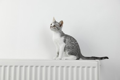 Photo of Cute little kitten on radiator near white wall