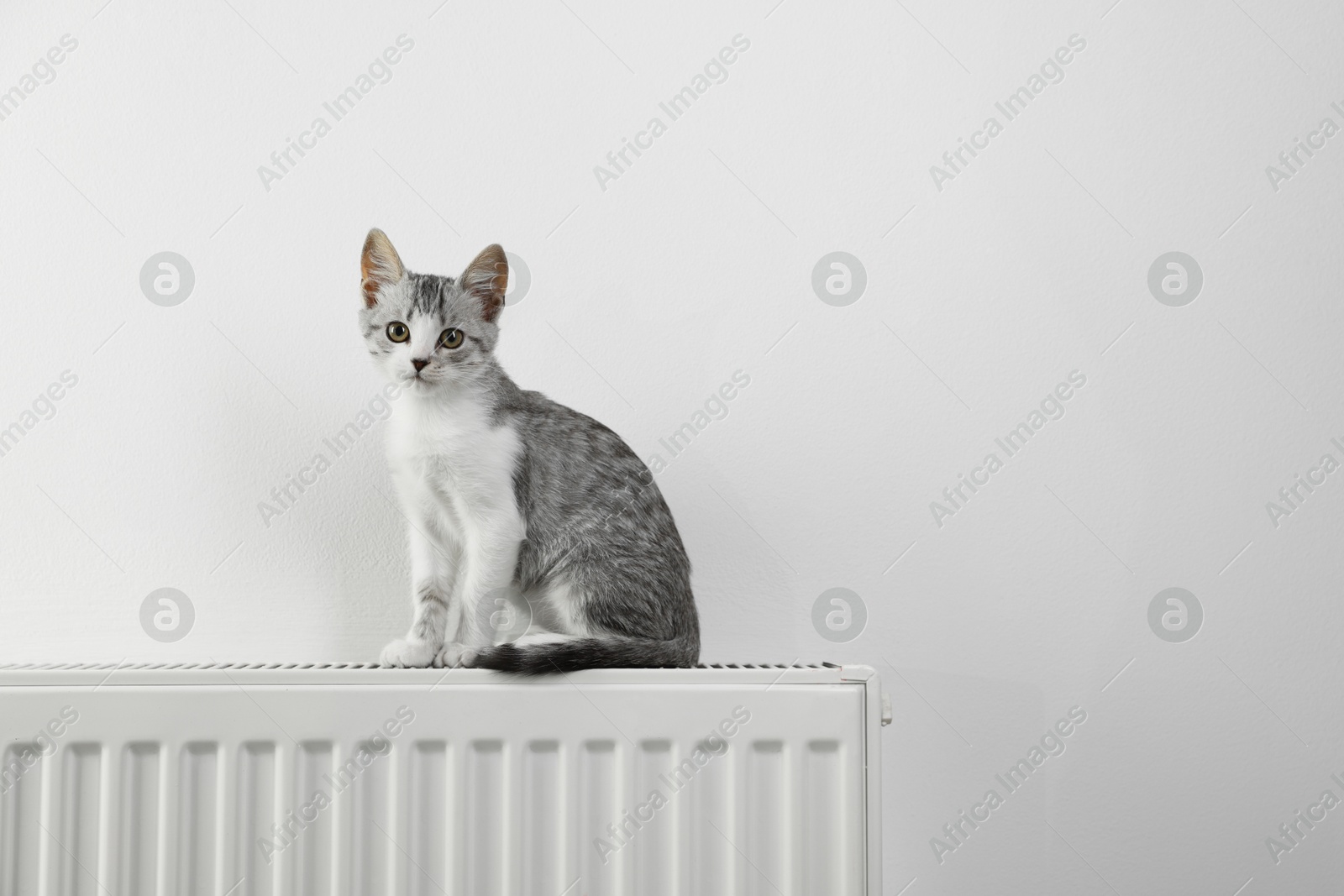 Photo of Cute little kitten on radiator near white wall, space for text